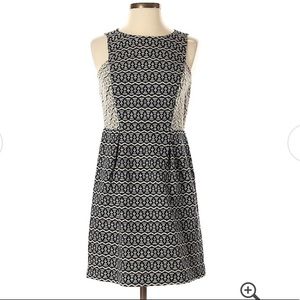 Ann Taylor LOFT dress